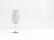 Empty sparkling wine flute glass, 3d