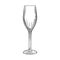 Empty sparkling wine glass. Hand drawn champagne glass sketch