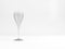 Empty sparkling wine tulip glass 3d