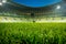 Empty stadium, with open roof. Close up on grass