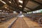 Empty stall in cleared barn