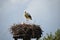 Empty storks nest blue sky