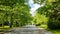 Empty street under green trees and blue sky in spring. Residential neighborhood in southwest USA