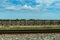 Empty Sugar Cane Bins