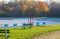 Empty swimming pool with red lifeguard stand in the autumn sundown. Very large swimming pool in the fall sunset.