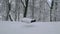 Empty swing in a snow covered winter park