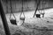 Empty swings in black and white