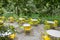 Empty tables on terrace at river bank