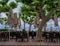 Empty tables on the terrace of a summer cafe on tropical trees background