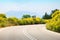 Empty tarmac road with yellow flowers