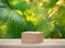 Empty top table pine wood podium texture in tropical outdoor nature garden forest green plant golden sunlight jungle background