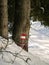 Empty tourist path in a forest during winter, snow covered, with red tourist marking sign