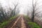 Empty track in the countryside on a foggy winter morning