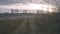 empty tractor road in the countryside in autumn. gravel surface