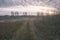 empty tractor road in the countryside in autumn. gravel surface