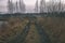 empty tractor road in the countryside in autumn. gravel surface