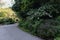 Empty Trail at Morningside Park with Green Trees and Plants in Morningside Heights of New York City during the Summer