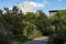 Empty Trail at Morningside Park with Green Trees and Plants in Morningside Heights of New York City during the Summer