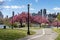 Empty Trail with Pink Flowering Crabapple Trees during Spring at Rainey Park in Astoria Queens New York