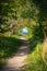 Empty trail through the woods which leads to the water