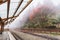 Empty train rails in Alishan Forest Railway stop on the platform of Zhaoping railway station with trees and fog in the background