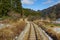 Empty tramway rail tracks, with green trees