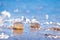 Empty transparent seashells in a warm wave of Black Sea beach in deep blue clear sky on a sunny summer morning backlight