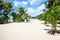 Empty tropical beach with Coconut palm trees. Mahe, Seychelles