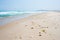 Empty tropical beach with rubbish trash plastic on sand. Waving ocean desert beach pollution problem in the sea. Sunny daytime.