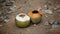 Empty two coconuts on the sand floor