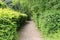 Empty uninhabited paths in a green park