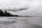 Empty vast sand beach horizon with pine tree and cloudy sky - black and white