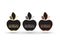 Empty vector frame apples with place for text on a black background. Apples with gold silver and bronze with a bar code on a leave