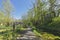 Empty walking path in scenic village at spring