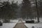 Empty walkway or path on a snowy avenue in Tivoli park in Ljubljana during midday