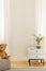 Empty wall in room interior with a cabinet, plant and teddy bear. Place for poster