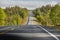 Empty wavy road surrounded by forest in Finland. Travel