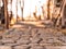 Empty weathered footpath, concrete pavement into the lights