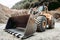 empty wheel loader machine loading gravel. Industrial machinery