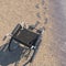 Empty wheelchair on a beach of sand with footprints