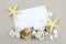 Empty white card with starfishes and seashells on the beach