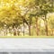 Empty white marble table over blur autumn nature park background