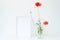 Empty white picture frame mockup. Glass vase with beautiful wild poppy flowers on white table. Lively and cheerful summer still