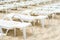 Empty White Plastic Deck Chairs On Sandy Beach.