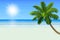 Empty white tropical beach with a palm a coconut tree. Realistic vector illustration