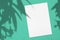 Empty white vertical rectangle poster or card mockup with oleander leaves and flowers shadows