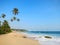 Empty wide clean beach with palms, Kamburugamuwa