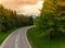 An empty winding road at sunset in the Black Forest in Germany