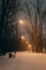 Empty winter park with street lamps at night. Winter landscape. Snowfall in the city. Bench on the alley in evening park