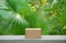 Empty wood podium concrete table texture in tropical outdoor nature garden forest green plant golden sunlight jungle background